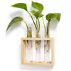 Wall Hanging Test Tube Planter Modern Flower Bud Vase with Wood Stand Tabletop Glass Terrarium