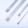 Anti Corrosion Factory Directly Provide Full Coated Lock Stainless Steel Cable Ties