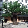 Outdoor public decoration large artificial banyan tree