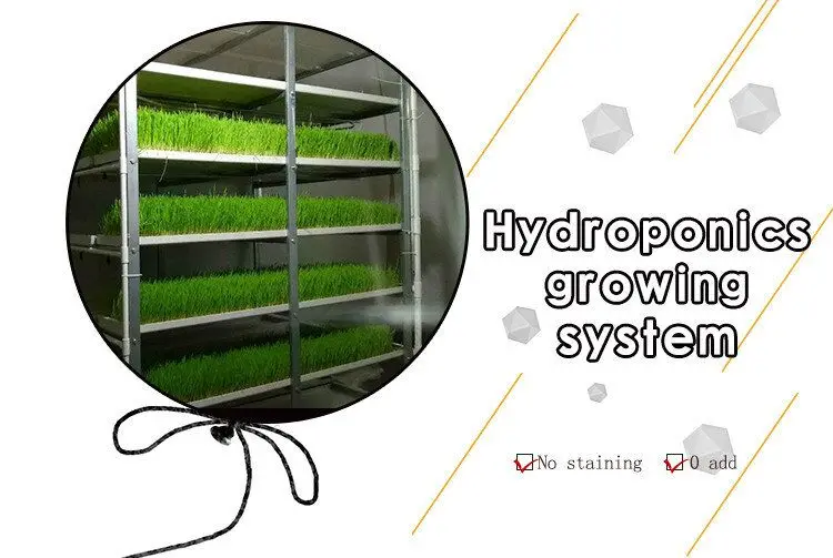 hydroponic fodder trays microgreen tray hydroponic equipment /hydroponic system