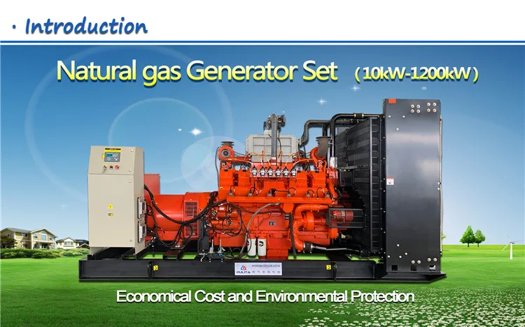 1.9 NG Generator
