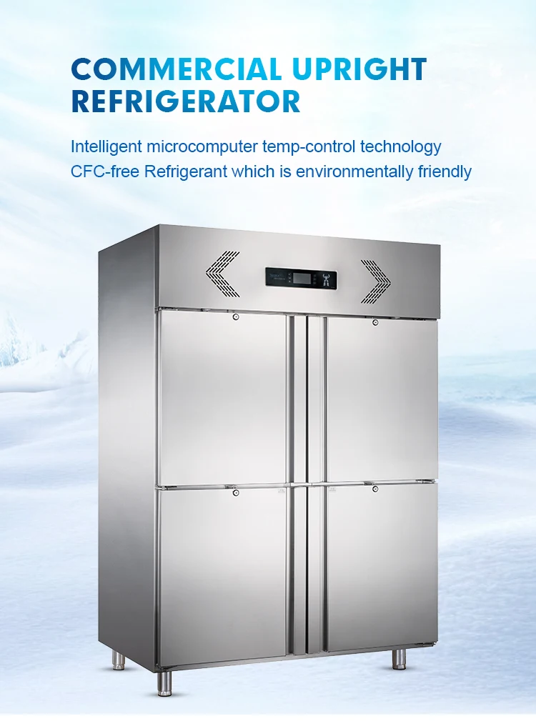 Professional Design Commercial Size Double Door Upright Deep