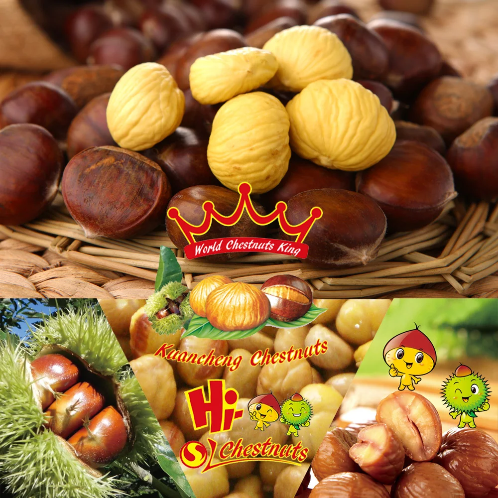 フリーズドライ栗パワーfd栗粉 Buy バルク栗小麦粉 凍結乾燥した栗電源 Fd栗小麦粉 Product On Alibaba Com