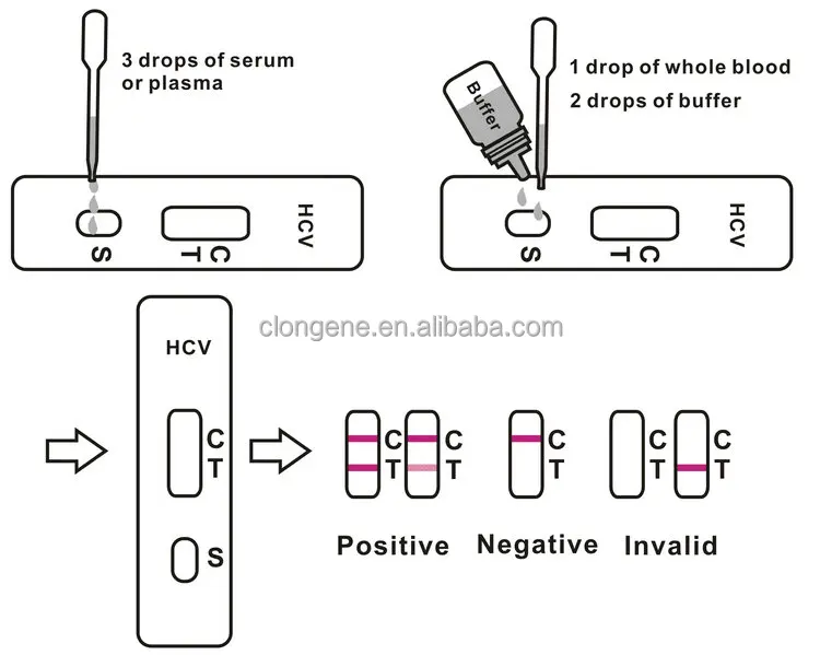 blood 2 test hep Step One Hepatitis Rapid Hcv Test C Whole Virus Blood