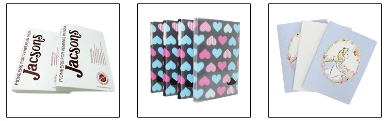 plastic punch folder.jpg