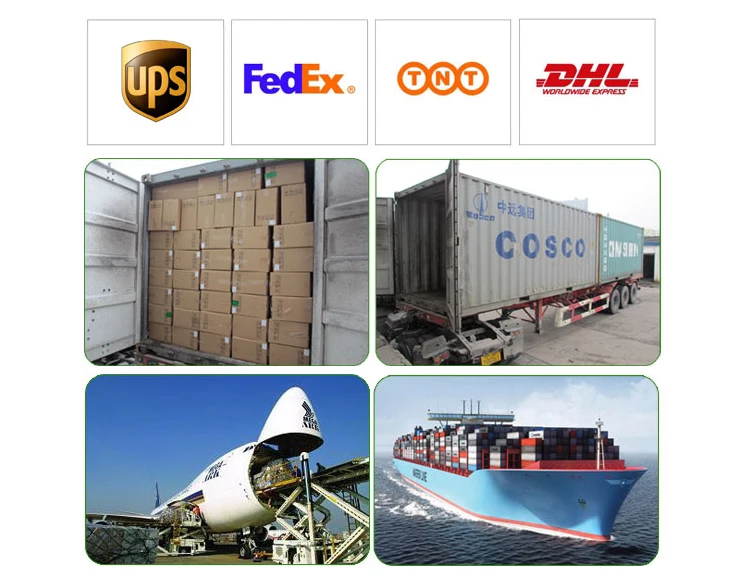 HTB1Z9bGPVXXXXaDXVXXq6xXFXXXv