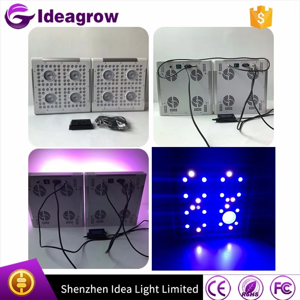 IDEA LIGHT Amazon Hot-selling Daisy Chain Advanced Platinum Full Spectrum 300w 300 watt LED Grow Lights growing kit