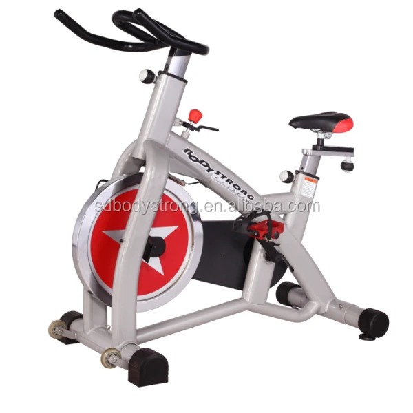 fortis flywheel exercise spin bike