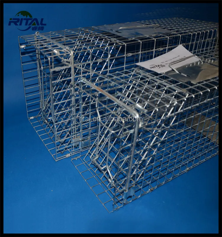 Cheap Traps For Live Raccoon Trap Cage - Buy Raccoon Trap Cage,Coyote