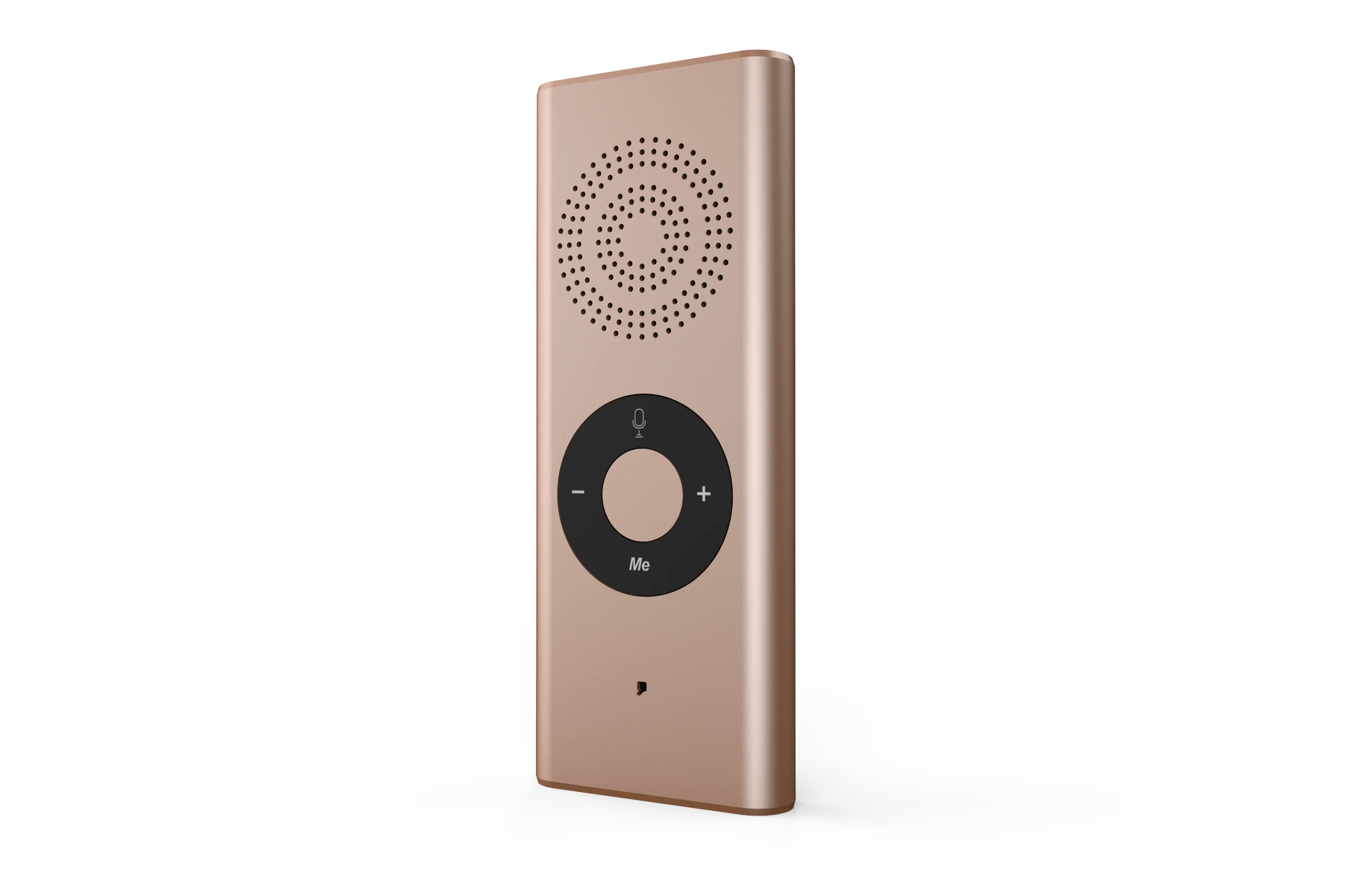 voice translator.png