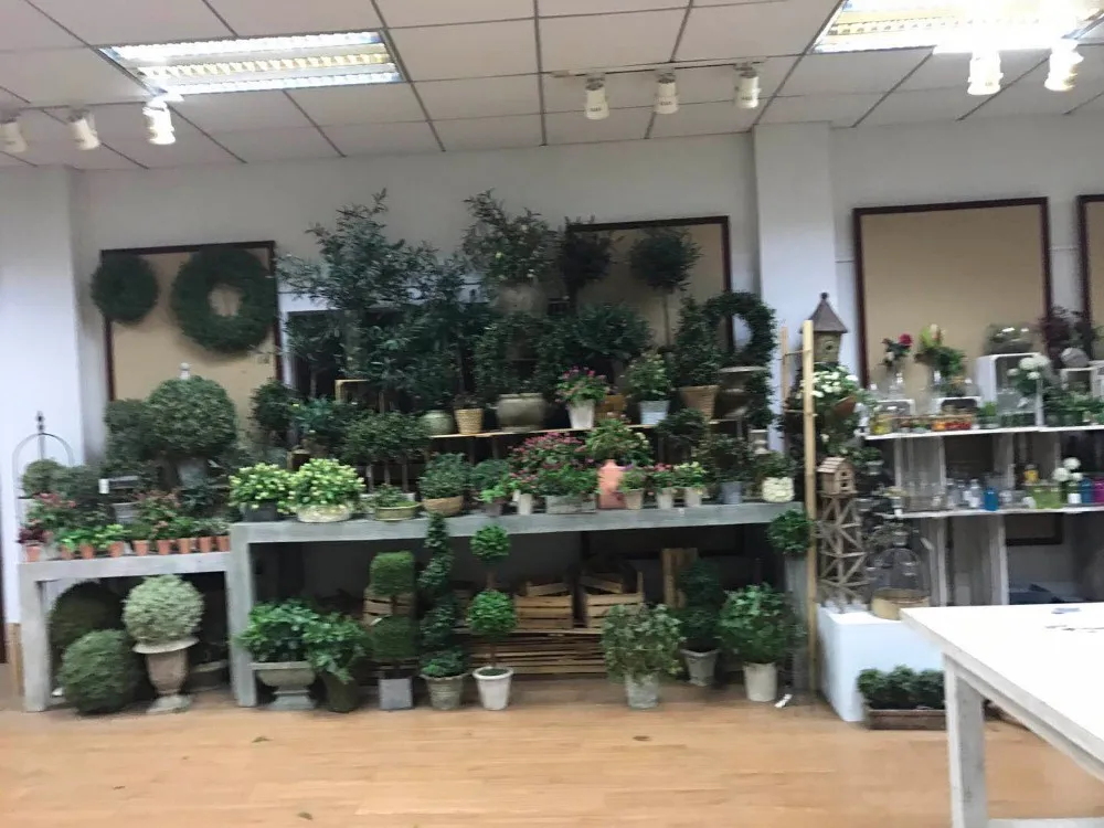 Customized Size Artificial Moss Carpet High End Moss Sward For Home