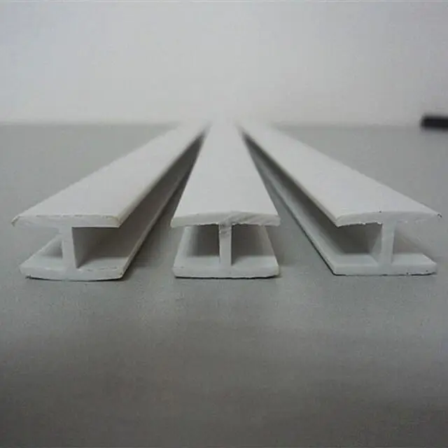 P20.jpg