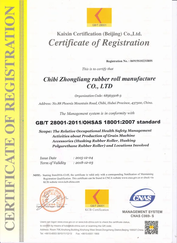 ISO 18001 Certificate of Registration