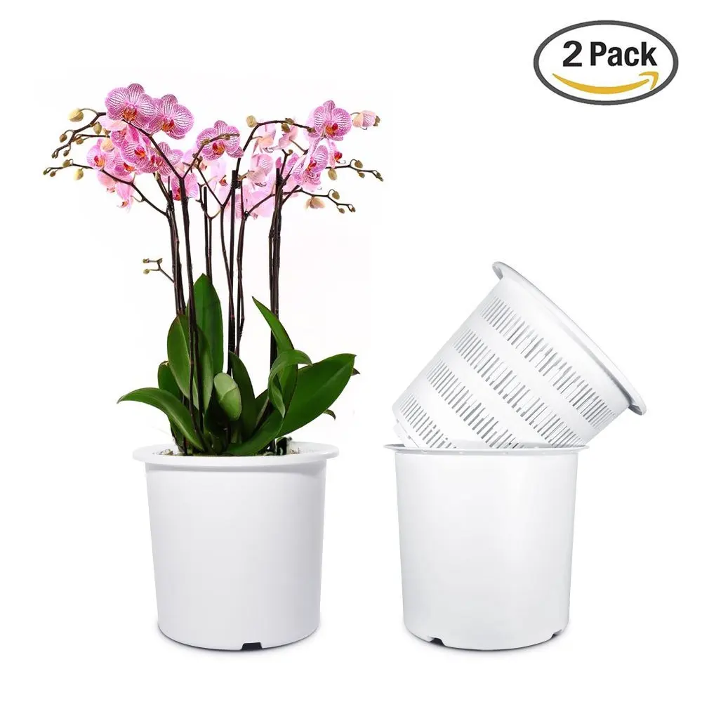 cheap orchid pots
