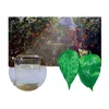 Silway 248 high efficiency polyether trisiloxane modified silicone surfactant for agricultural