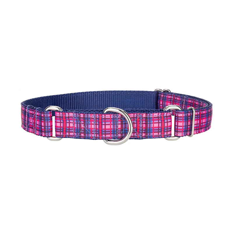 dog collar and leash set