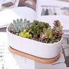 White Ceramic Flowerpot with Bamboo Planter Stand