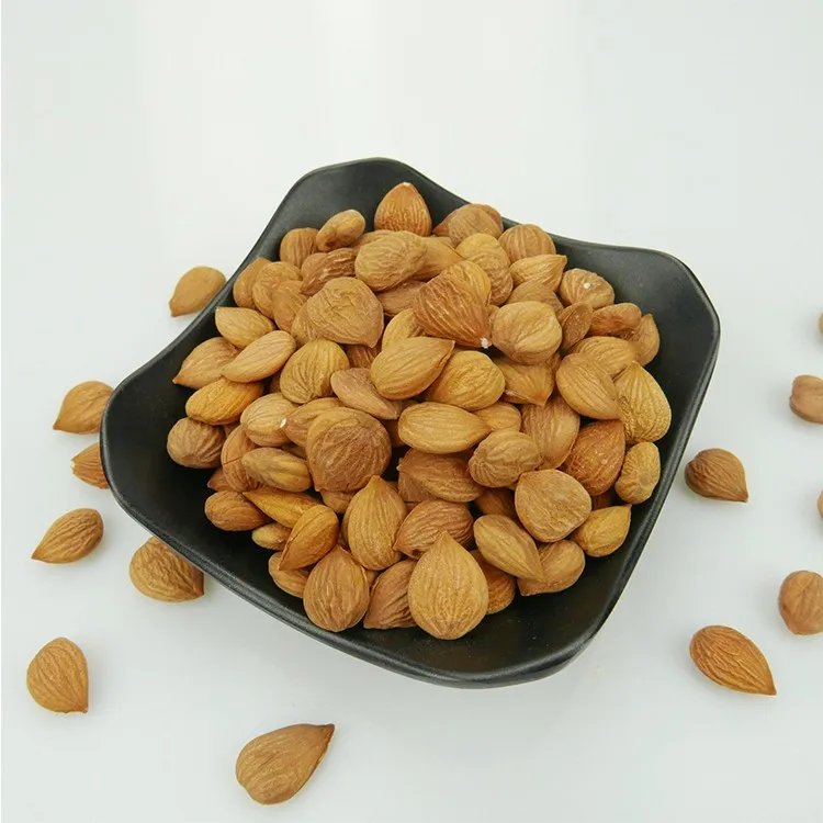 wholesale Chinese Apricot Kernels almonds for sale