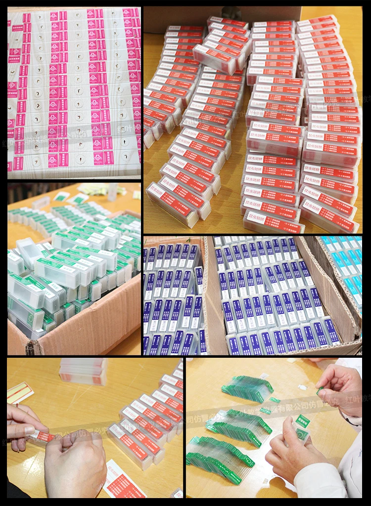Teaching Resource as a gift 35 specimens children microscope prepared slides.jpg