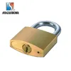 Computer Dimple Keys Removable Cylinder Brass Padlock