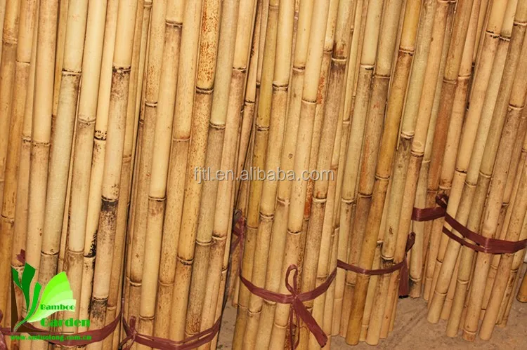 Bamboo Pole Bmaboo Cane Bamboo Stick009