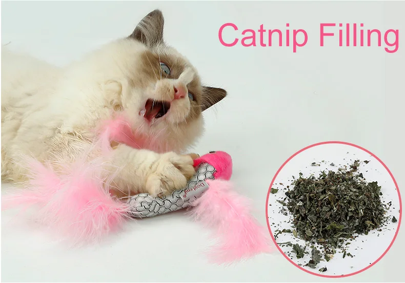 Кошка в перьях