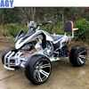 AGY high speed automatic gas powered 250cc atv engine for sale