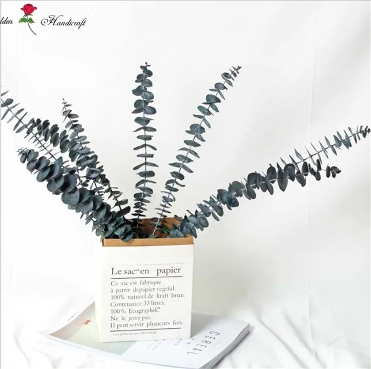 Wholesale Natural Dried Eucalyptus Preserved Eucalyptus Leaves For