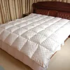100%hungarian goose down Quilts duvet custom printed comforter