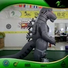 Inflatable Dragon Suit PVC Customized Make Factory Cartoon Animal Inflatable Costume