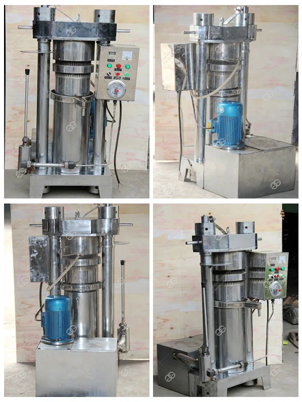 Sunflower Oil Extraction By Kirdi In Kenya Cold Press Oil Machine Buy