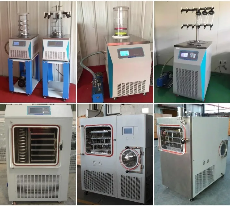 vegetable freeze dryer