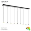 Brightness long pendant light or pendant lighting fixture