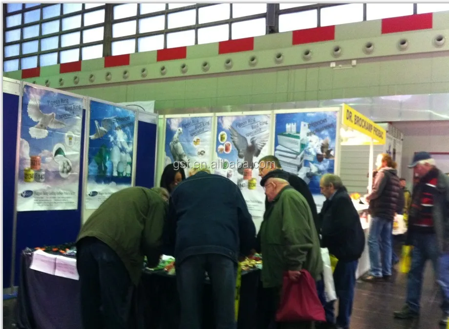 pigeon show in Germany-1