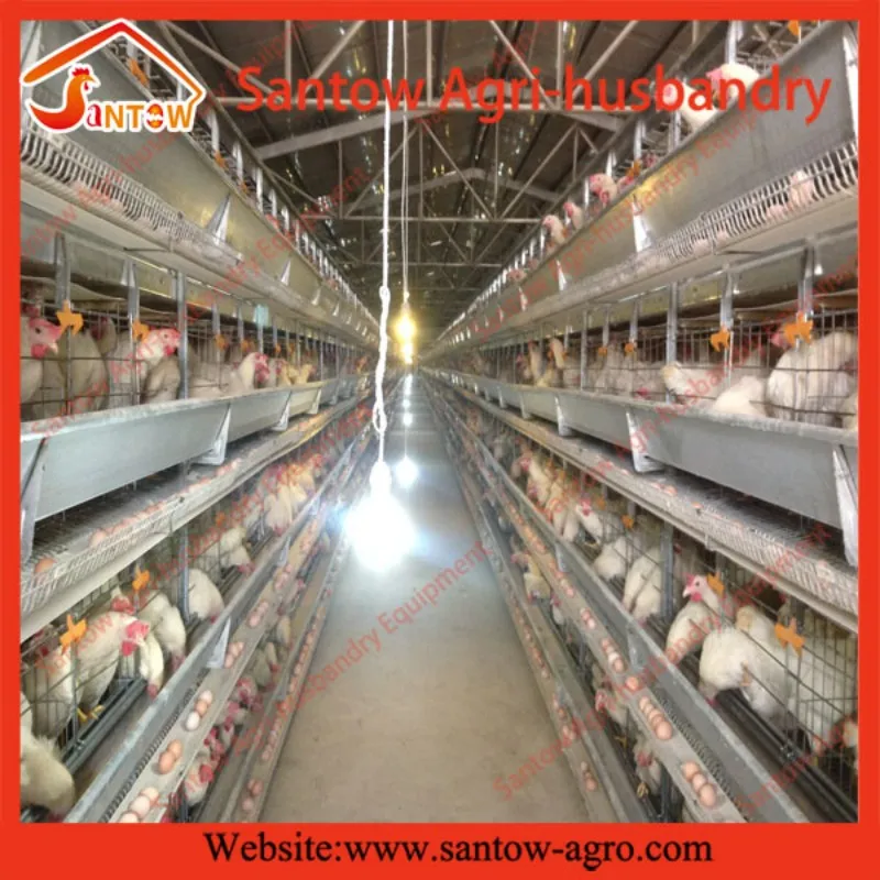 Galvanized Wire Mesh Steel Frame Chicken Layer Cage Chicken Coop Plans For 12 Chickens Buy
