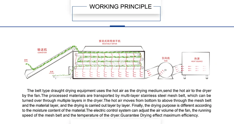 guoxin safe and reliable operation good quality dried salted fish drying machine