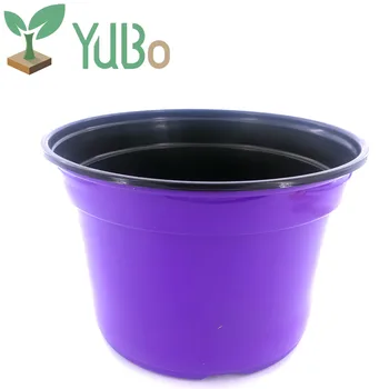Colorful Size Nursery Flower Pots Whole Plant Rose Flower Pots Whole Plant Rose