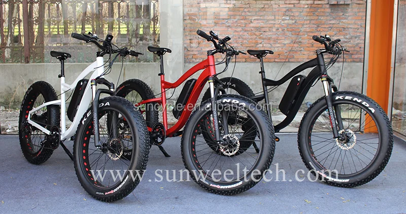 ebike (13).jpg