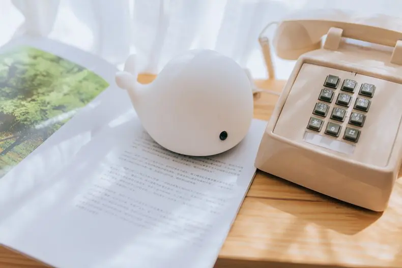 Soft Silicone LED dolphin night light Colorful with tap control and color change