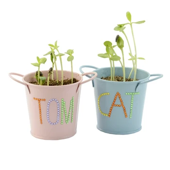 Grow Your Own Garden Kit Indoor Mini Plant For Kids Kits Product On Alibaba Grow Your Own Garden Kit Indoor Mini Plant For Kids Kits Product On Alibaba