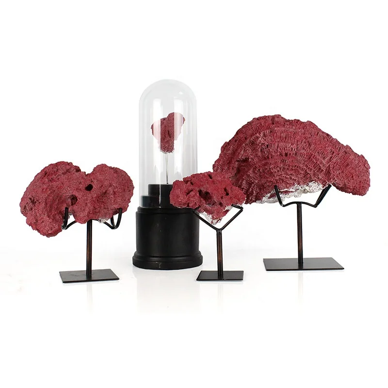 Artificial Resin Red Coral Decor Coral Black Base Home Decor factory