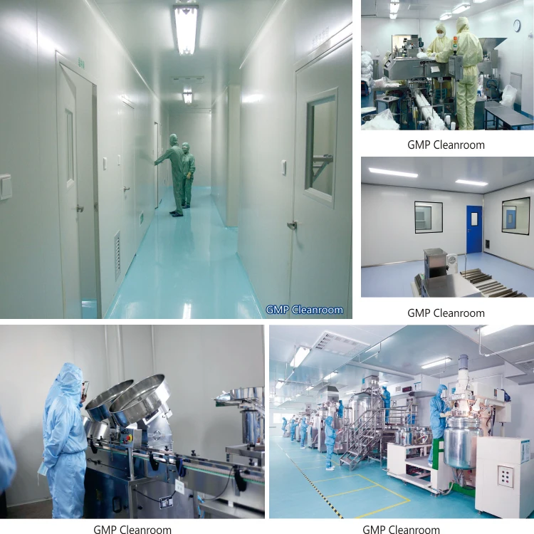 GMP Cleanroom 1.jpg