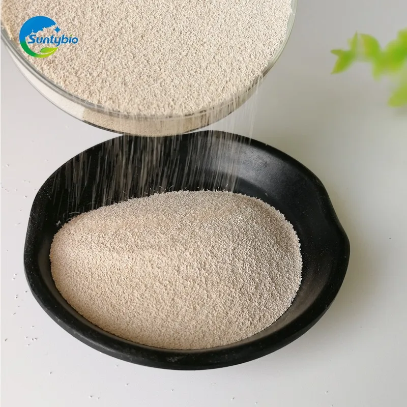Hot Sale Poultry Feed Additive Hydrolyzed Yeast With Best Price Buy