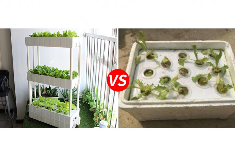 hydroponics system (2).jpg