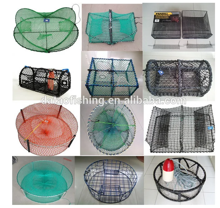 Gratis afbeelding kluizenaar, krab, kluizenaar, krab, spons, pagurus, impressus