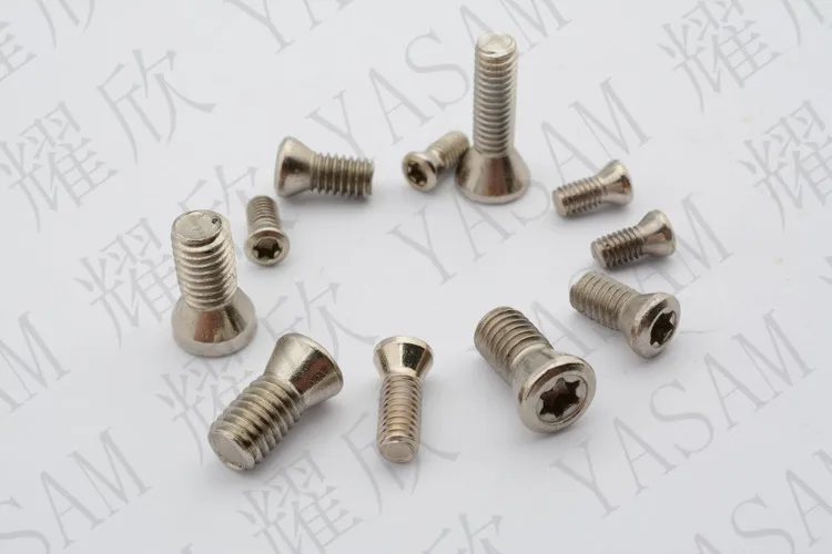 screw for inserts (3)