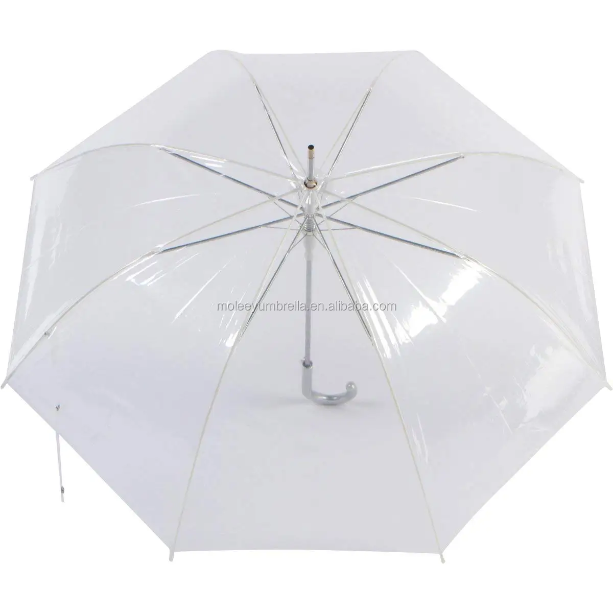 transparent umbrella (2).jpg