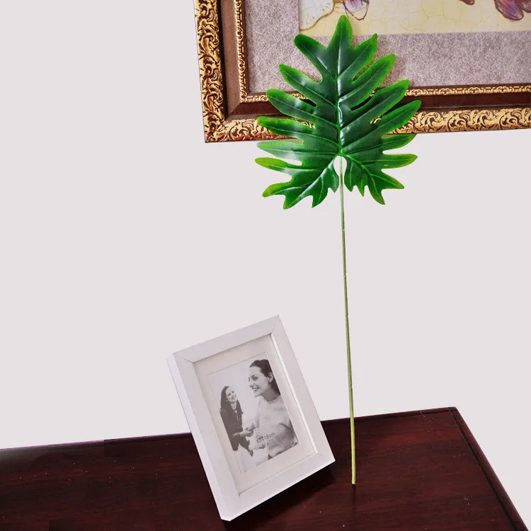 monstera (2).jpg