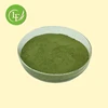 13 Years Manufacturer Supply Best Green Matcha Tea Powder