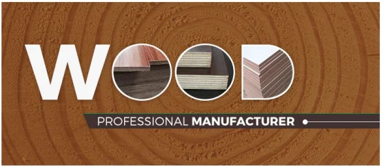 paste-pic-dp_uuid_zj594